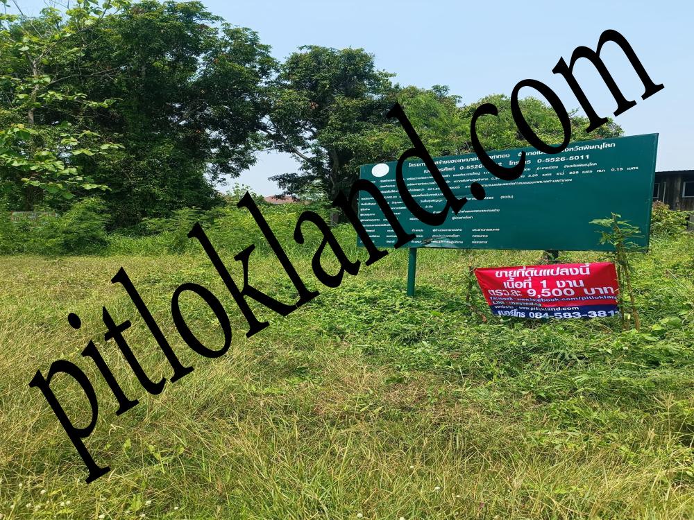 ที่ดินพิษณุโลก,ขายที่ดินพิษณุโลก