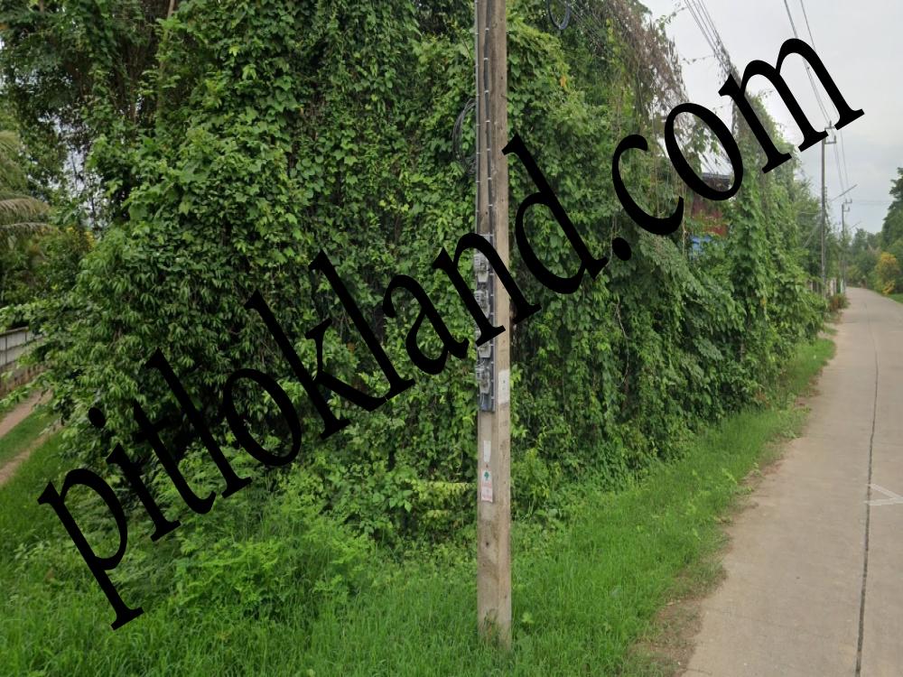 ที่ดินพิษณุโลก,ขายที่ดินพิษณุโลก