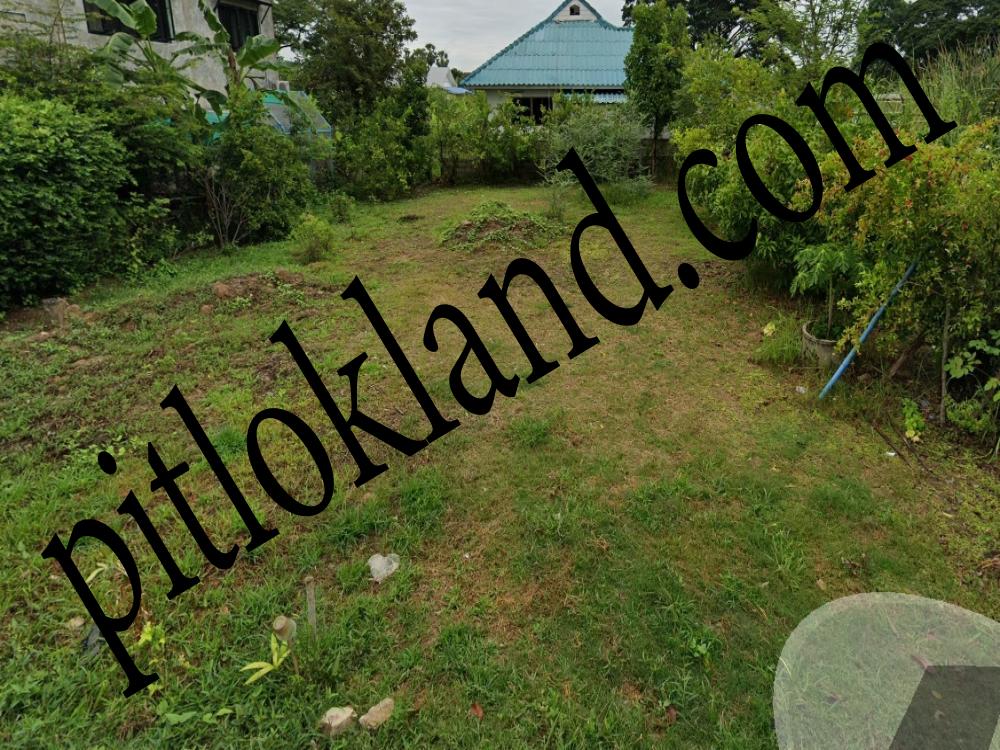 ที่ดินพิษณุโลก,ขายที่ดินพิษณุโลก