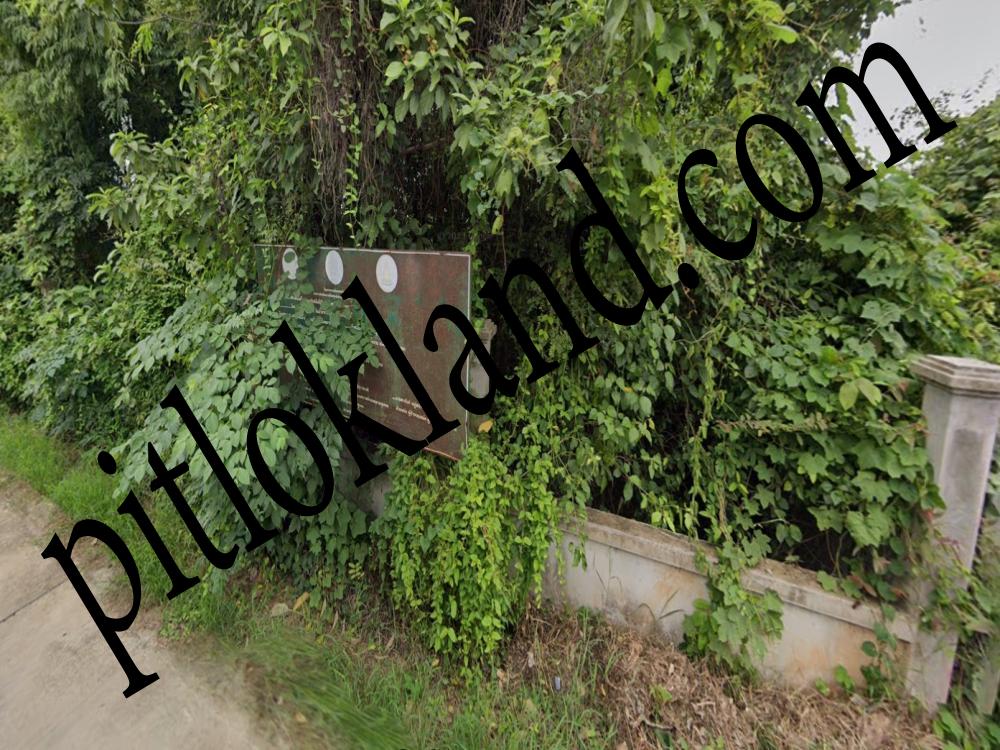 ที่ดินพิษณุโลก,ขายที่ดินพิษณุโลก