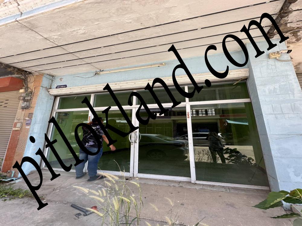 ที่ดินพิษณุโลก,ขายที่ดินพิษณุโลก