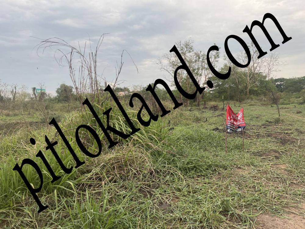 ที่ดินพิษณุโลก,ขายที่ดินพิษณุโลก